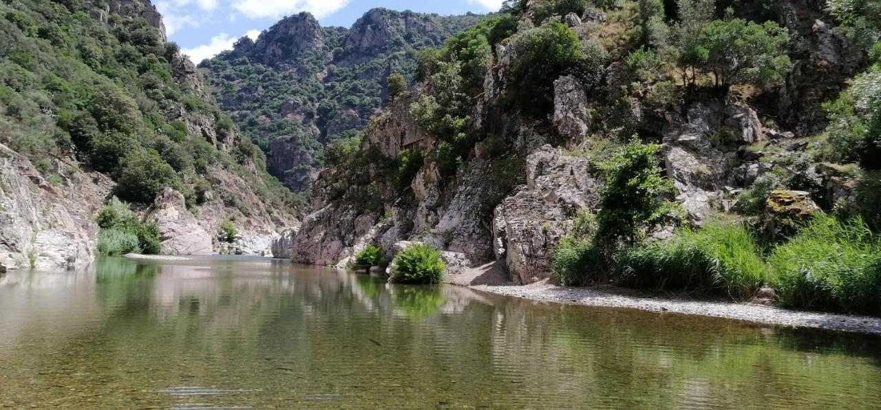 S'Orrosa Casa Vacanze Bifamiliare In Montagna Panorama Stupendo Sardegna Seùlo Exterior foto