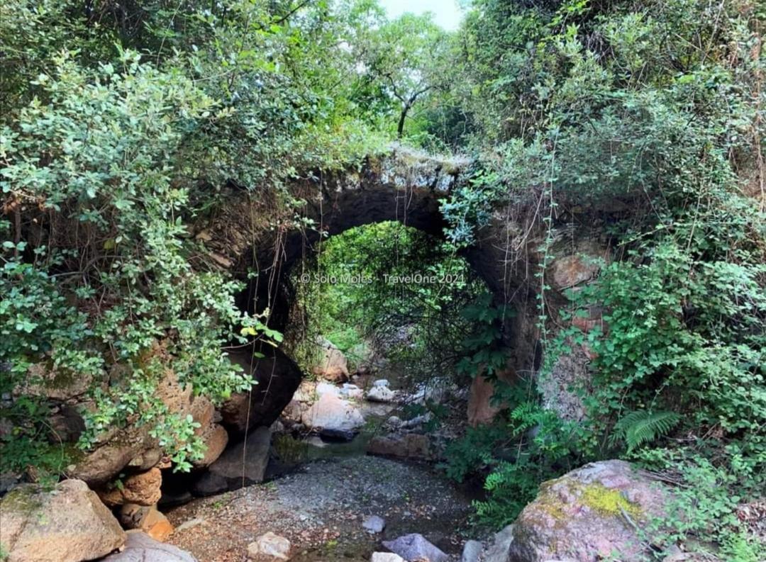 S'Orrosa Casa Vacanze Bifamiliare In Montagna Panorama Stupendo Sardegna Seùlo Exterior foto