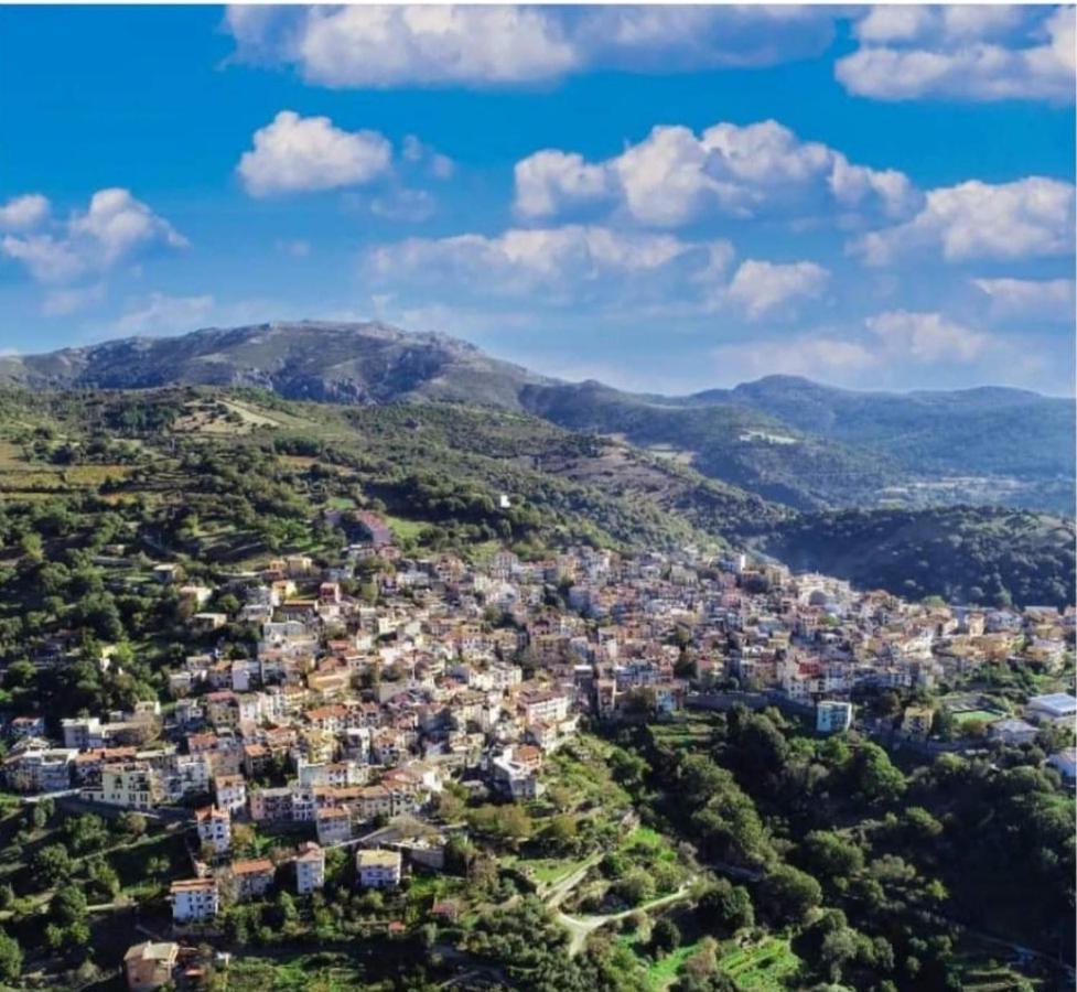 S'Orrosa Casa Vacanze Bifamiliare In Montagna Panorama Stupendo Sardegna Seùlo Exterior foto