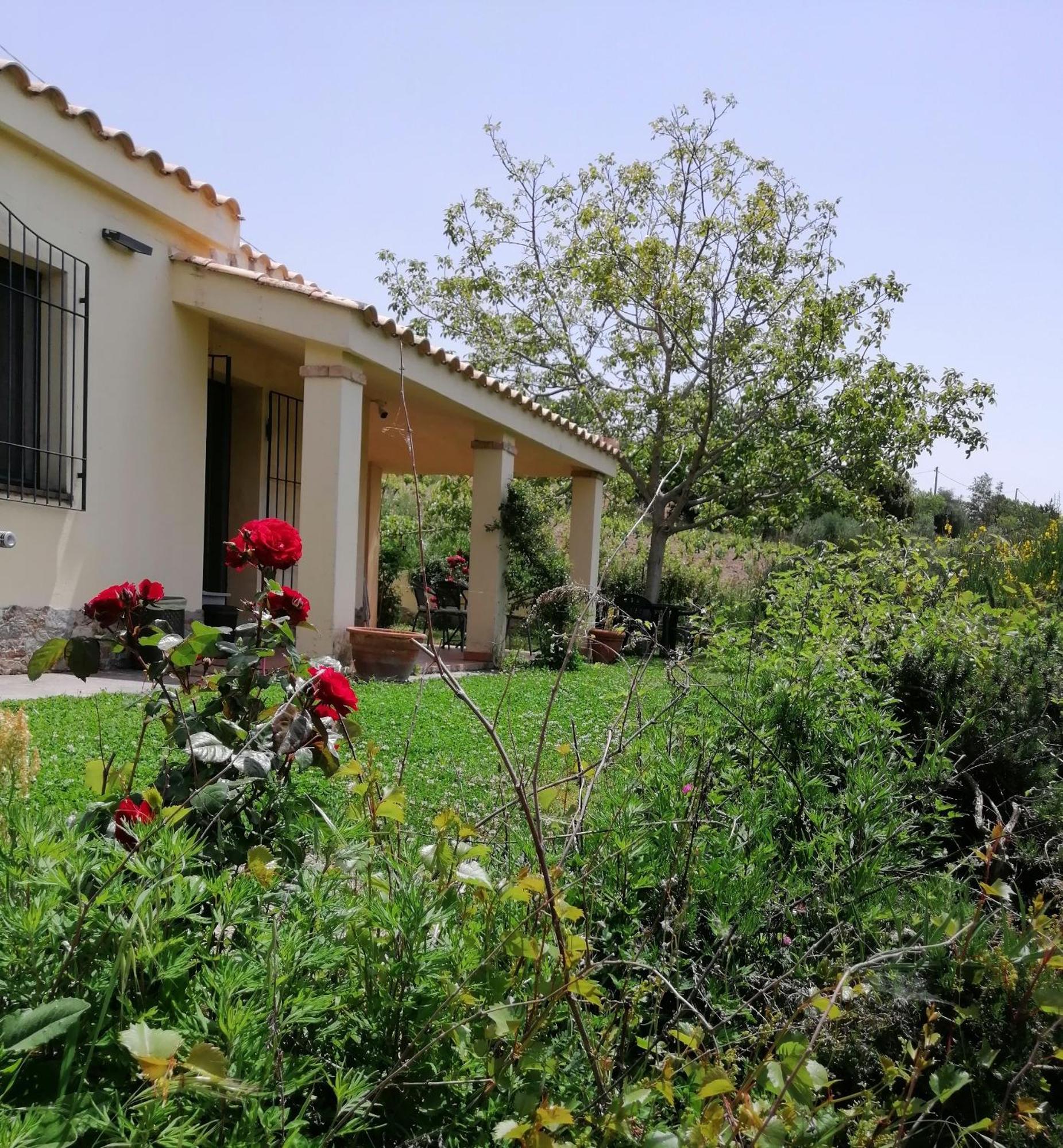 S'Orrosa Casa Vacanze Bifamiliare In Montagna Panorama Stupendo Sardegna Seùlo Exterior foto