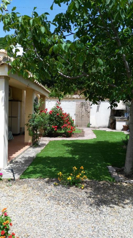 S'Orrosa Casa Vacanze Bifamiliare In Montagna Panorama Stupendo Sardegna Seùlo Exterior foto