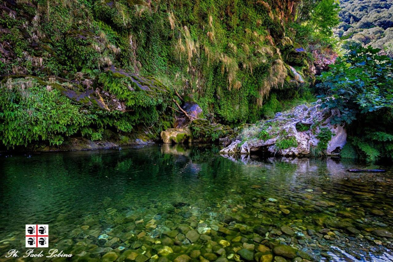 S'Orrosa Casa Vacanze Bifamiliare In Montagna Panorama Stupendo Sardegna Seùlo Exterior foto